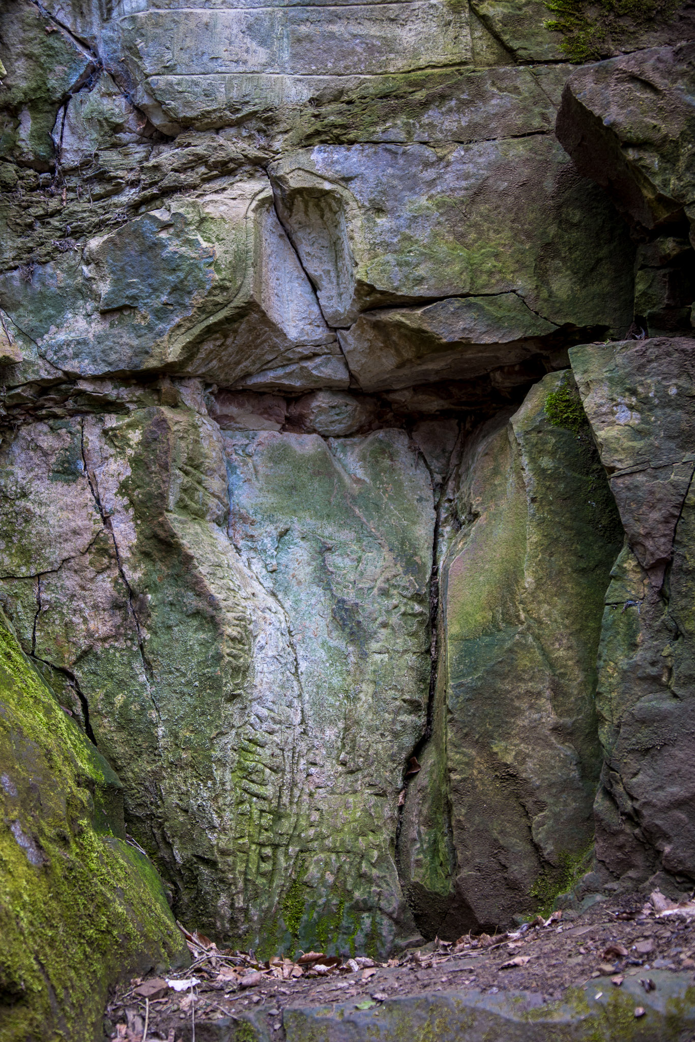 20220410111814 R5D 1944